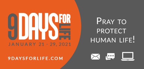 www.9daysforlife.com